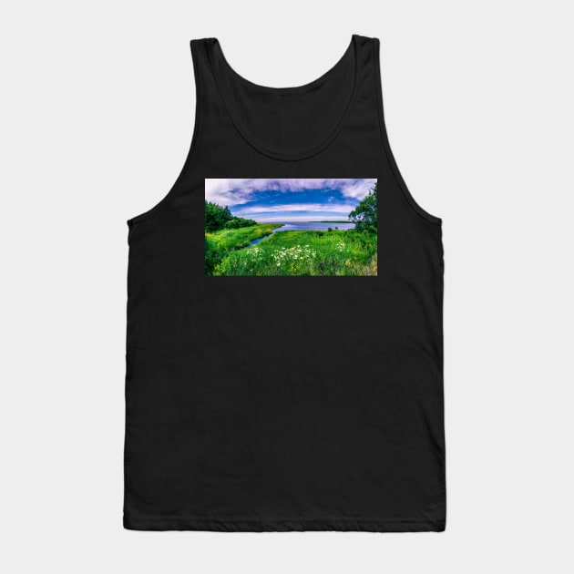 Celtic Shores Coastal Trail 02 Tank Top by kenmo